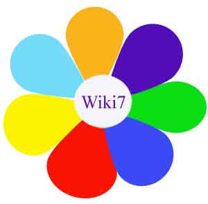 Эмблема  "Wiki7", 2008