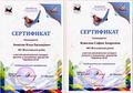 Сертификаты Нерпенок 1.jpg